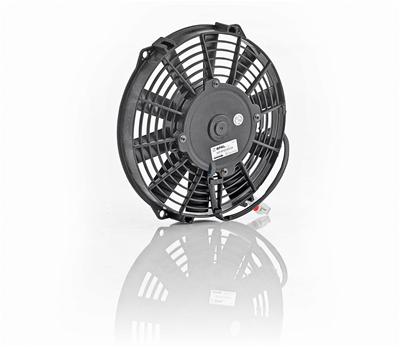Be Cool 75008 Be Cool Qualifier Fans