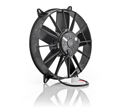 Be Cool 75006 Be Cool Qualifier Fans