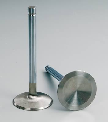 Manley 11363-8 Manley Race Series Stainless Steel Valves