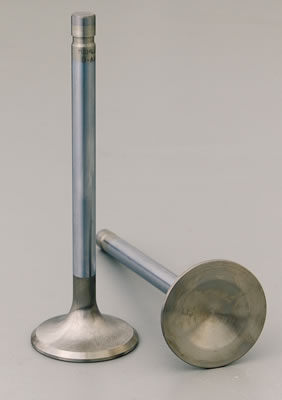 Manley 11863-8 Manley Race Series Stainless Steel Valves